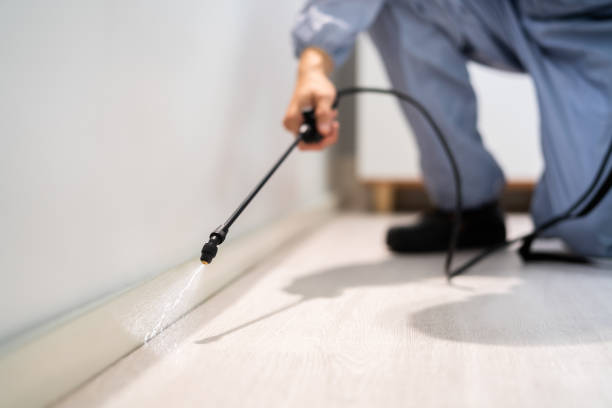 Certified termite inspector examining foundation in Manitou Beach-Devils Lake