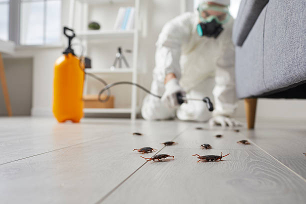 Commercial Rodent Management in Manitou Beach-Devils Lake